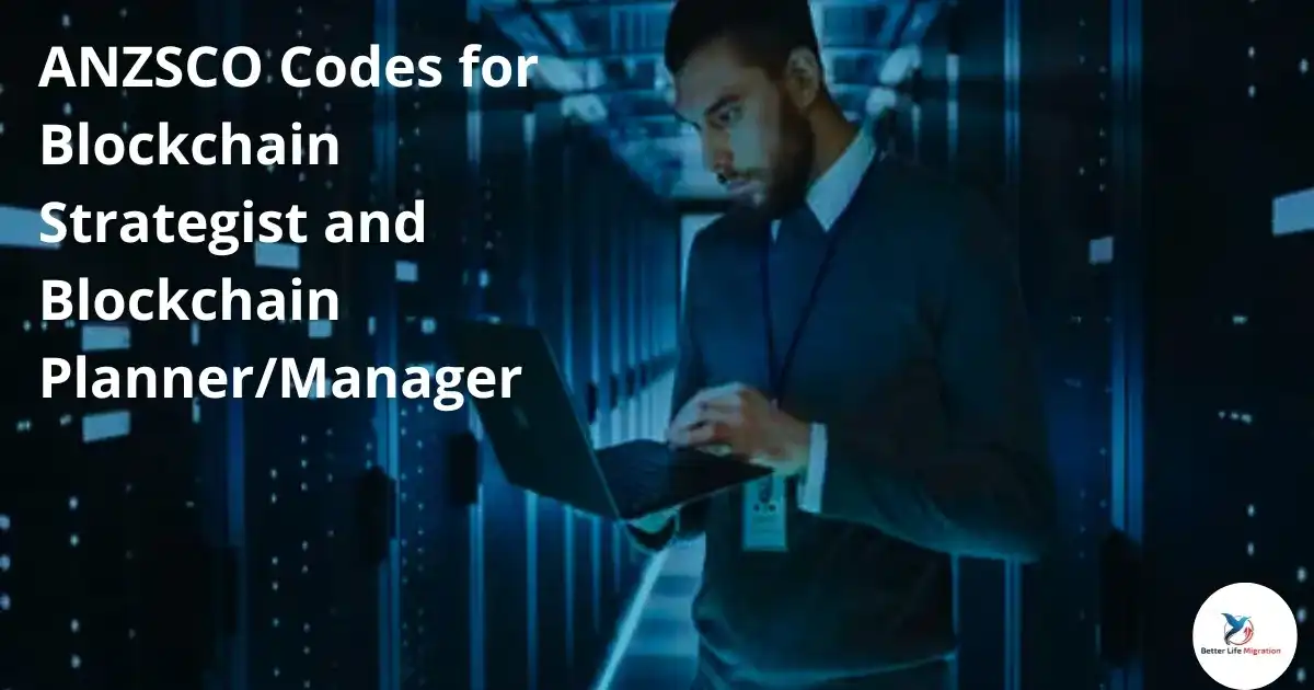 Read more about the article ANZSCO codes for Blockchain Strategist and Blockchain Planner/Manager