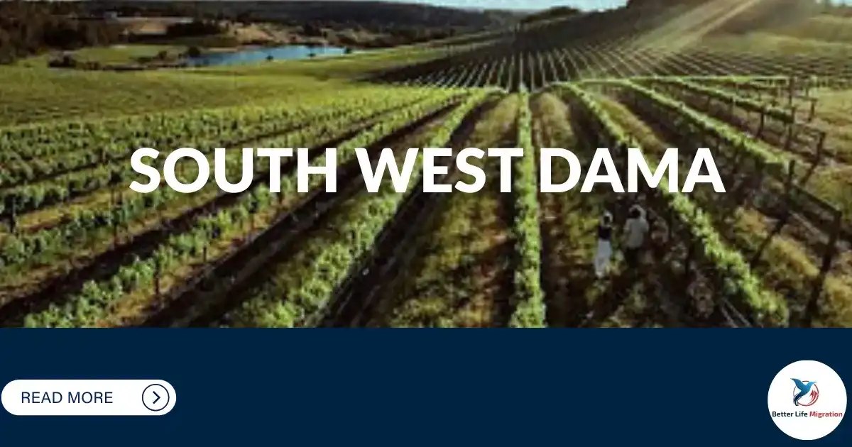 Read more about the article South West DAMA